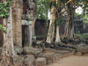 gillandtuan > Angkor Wat photo